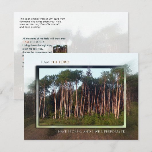 野の木々 ポストカード (正面/裏面)