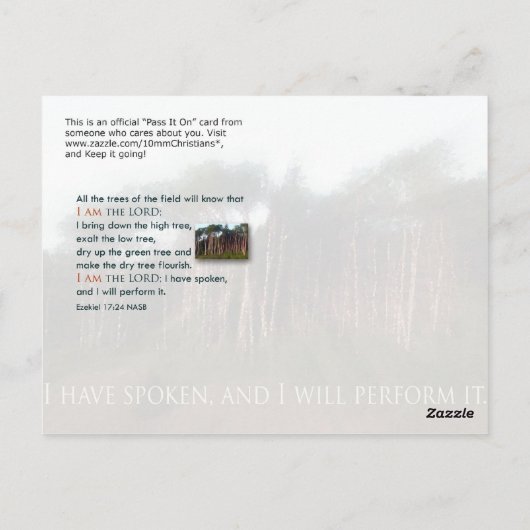 野の木々 ポストカード (裏面)