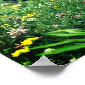 野の花2花 ポスター (角)