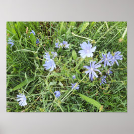 野の花 ポスター