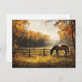 野の馬ゴールデンアワー絵を描ズ ポストカード (正面/裏面)
