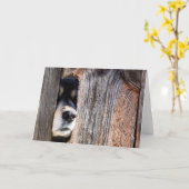 野を覗くドイツの羊飼い カード (黄色い花)