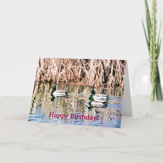 野ガモ カード (正面)