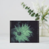 野グランジ花 ポストカード (スタンド正面)