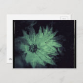 野グランジ花 ポストカード (正面/裏面)