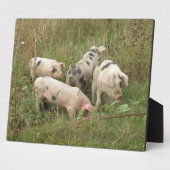 野プラークの豚 フォトプラーク (側面)