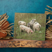 野プラークの豚 フォトプラーク (側面)