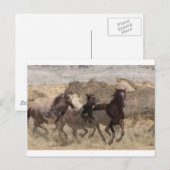 野ランニング生の ポストカード (正面/裏面)