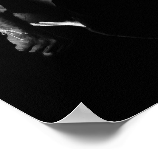 野党プリント ポスター (角)