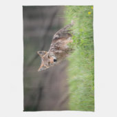 野原で見つめるブラウン・コヨーテの写真 キッチンタオル (縦)