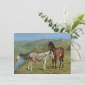 野原にライトグレーウマ科のの馬（家畜） カード (スタンド正面)