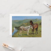 野原にライトグレーウマ科のの馬（家畜） カード (正面/裏面インサイチュ)