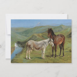 野原にライトグレーウマ科のの馬（家畜） カード