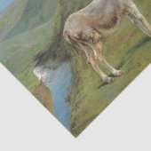 野原にライトグレーウマ科のの馬(家畜) 薄葉紙 (詳細)