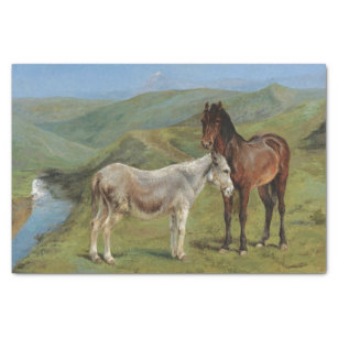 野原にライトグレーウマ科のの馬（家畜） 薄葉紙
