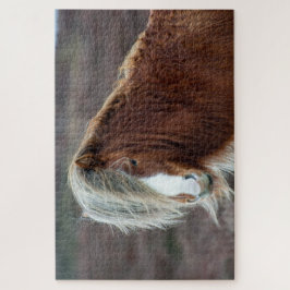 野原に住む野生のアイスランドの馬 ジグソーパズル