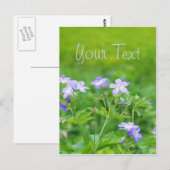 野原に咲くスミレ色の花 ポストカード (正面/裏面)