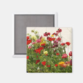 野原に咲く野花 マグネット (正面/裏面)