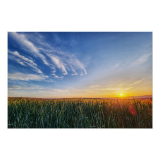 野原に沈む夕日 ポスター