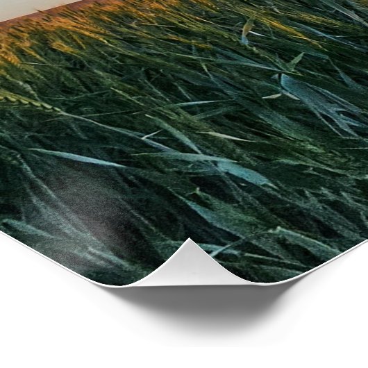 野原に沈む夕日 ポスター (コーナー)