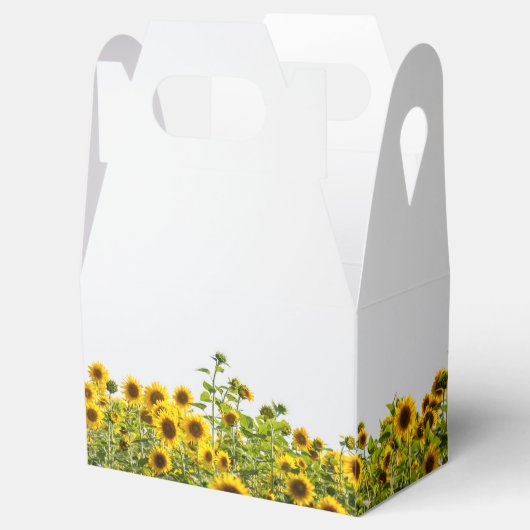 野原のひまわり フェイバーボックス (オープン)