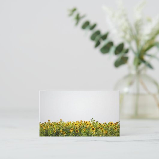 野原のひまわり 名刺 (スタンド正面)