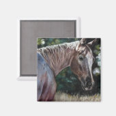 野原のアパローサ馬 マグネット (正面/裏面)