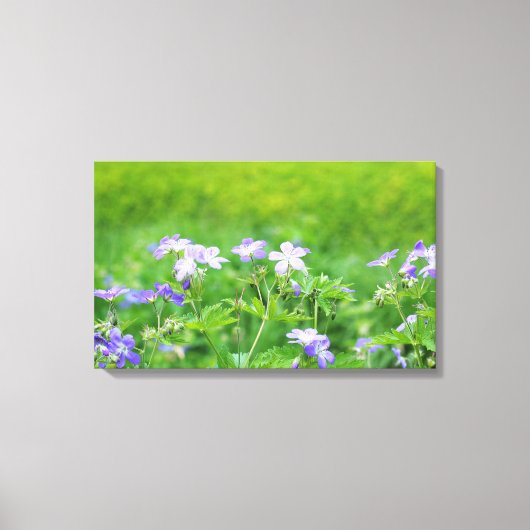 野原のゲラニウムの花 キャンバスプリント (正面)
