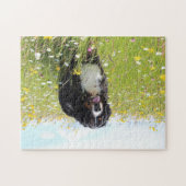 野原のベルネーゼ山犬 ジグソーパズル (横)
