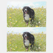 野原のベルネーゼ山犬 フリースブランケット (正面)