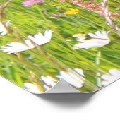 野原のベルネーゼ山犬 ポスター (角)