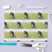 野原のベルネーゼ山犬 薄葉紙 (クラフト)