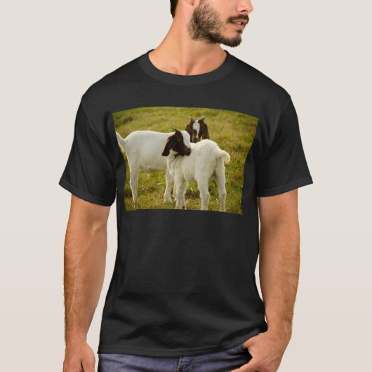 野原のボアヤギ2頭 農場の動物 写真 Tシャツ (正面)