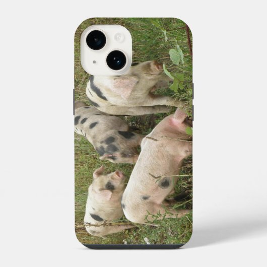 野原の豚たち iPhoneケース (裏面)