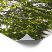 野原の野草 ポスター (角)