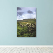 野原を貫く石の柵 キャンバスプリント (インサイチュ (ウッドフロア))