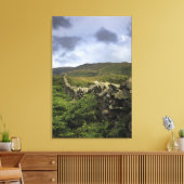 野原を貫く石の柵 キャンバスプリント (インサイチュ (リビング))