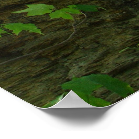 野外の木のポスター ポスター (角)