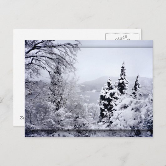 野尻湖はがき ポストカード (正面/裏面)