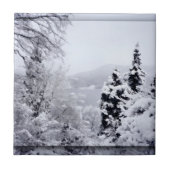 野尻湖装飾瓦 タイル (正面)