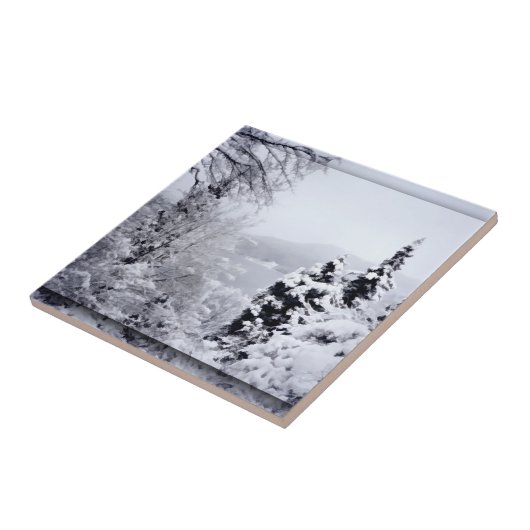 野尻湖装飾瓦 タイル (側面)