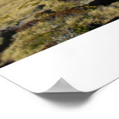 野心 ポスター (角)