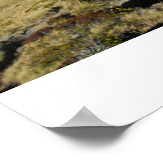 野心 ポスター (角)