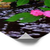 野性のインパティエンスとシダ ポスター (角)