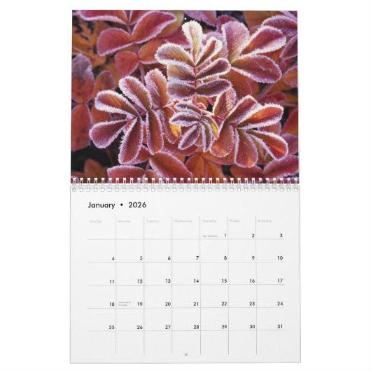 野性生物のカレンダー カレンダー (1月 2026)