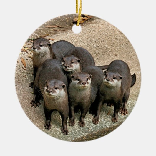 野性生物のカワウソのクリスマスのオーナメント セラミックオーナメント (正面)