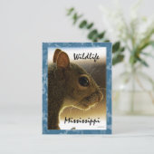 野性生物のミシシッピーの灰色のリスの郵便はがき ポストカード (スタンド正面)