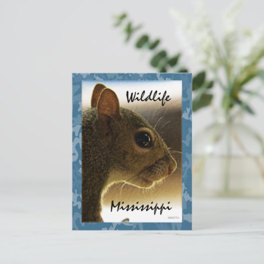 野性生物のミシシッピーの灰色のリスの郵便はがき ポストカード (スタンド正面)