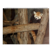 野性生物の写真のカレンダー カレンダー (カバー)