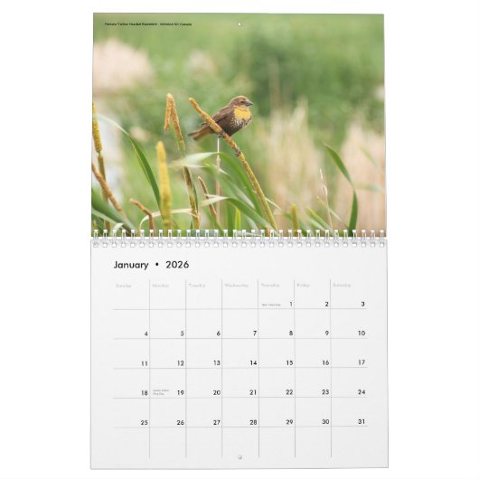 野性生物の写真撮影のコレクションのカレンダー カレンダー (1月 2026)